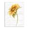 Stupell Industries Blooming Garden Sunflower Yellow Floral Country Pattern Wall Plaque